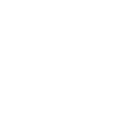 Drey Cerqueira